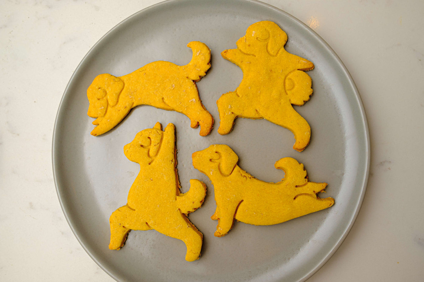 Yogi Pup Dog Biscuits